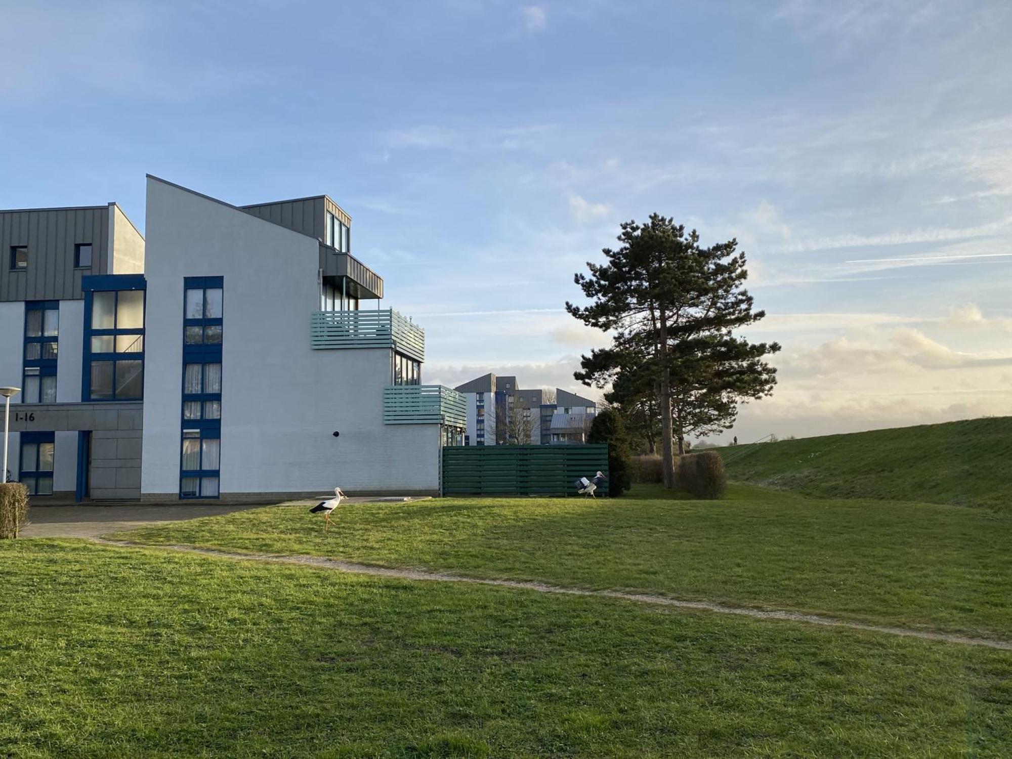 The Green Studio, Lopinge 94 Cadzand Zewnętrze zdjęcie