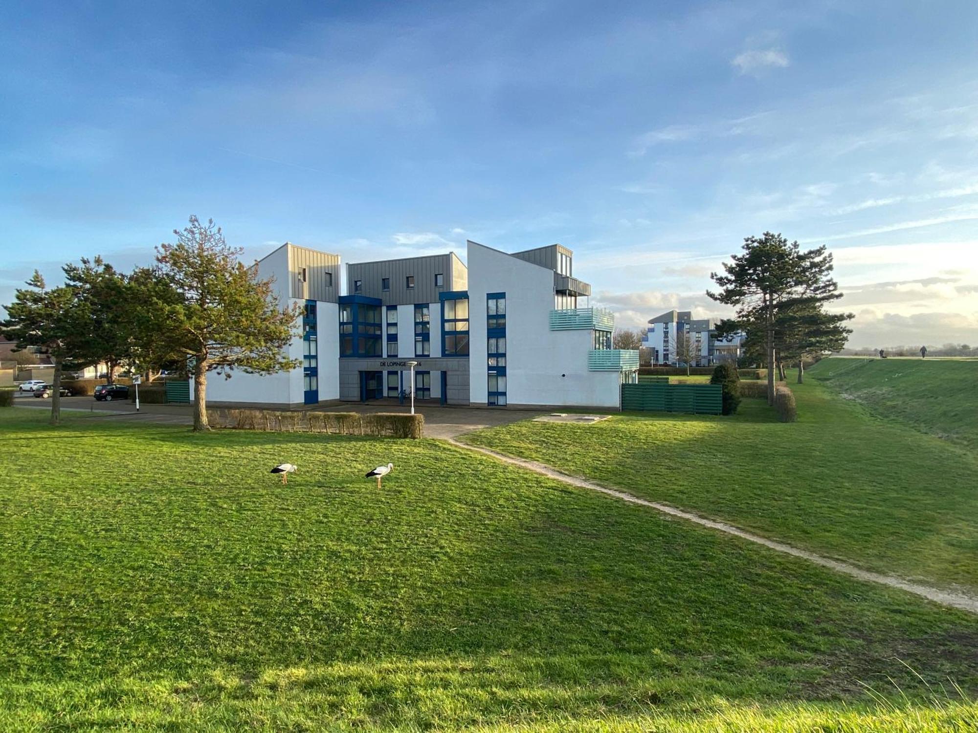 The Green Studio, Lopinge 94 Cadzand Zewnętrze zdjęcie